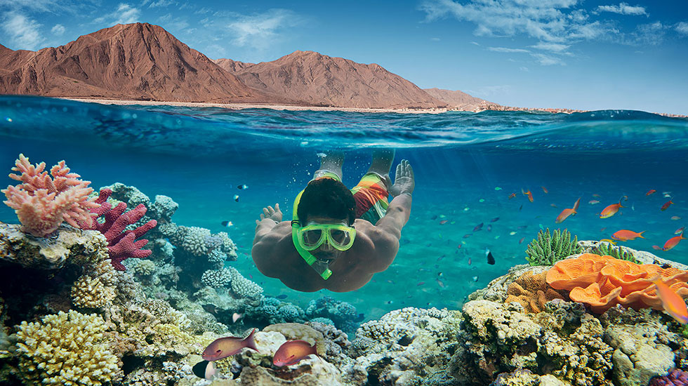SHARM EL SHEIKH TURU *SÖMESTR ÖZEL* Küçük resim